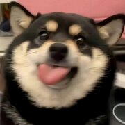 **jmnggv