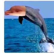 **61328505