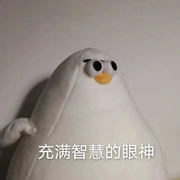 **djkl145