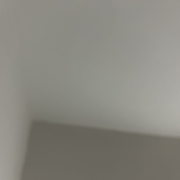 **33651880
