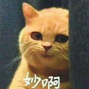 **35093677