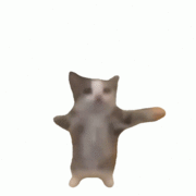 **auth