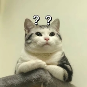 **dqz232