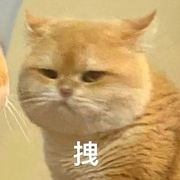 **ectivegender