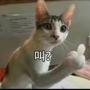 **8222