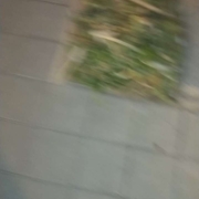 **uxh1997@163.com