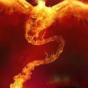 **36706616@qq.com