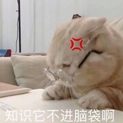 **gongzhu..