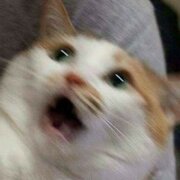 **407