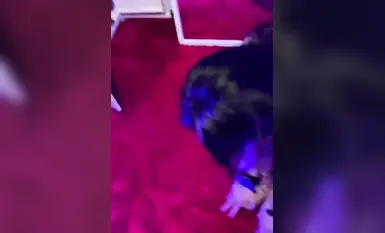 Lumuhod sa lupa ang asong babae at sinampal ng kanyang ama