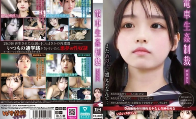 YDNS-005 電車生姦制裁