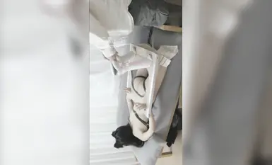 推特頂級攝影師流出的福利視頻，不同女神模特下的美麗騷樣子！女神自願被調教～4