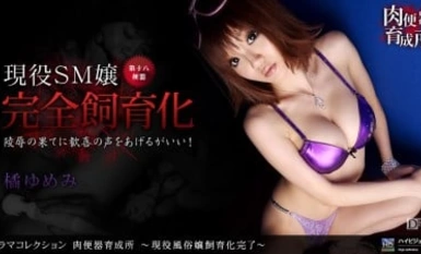 1pon 060910_852 橘ゆめみ 肉便器育成所 〜現役風俗嬢飼育化完了〜