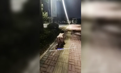 騷貨母狗『西西』最新收費電報私拍 夜晚街道全裸行走淫亂群P (1)