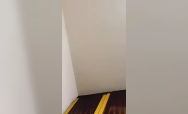 暴力強奸媽媽，媽媽哭得撕心裂肺