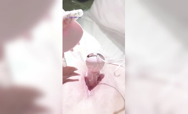 큰 분홍색 얼굴에 희귀한 하얀 호랑이 빵과 뚱뚱한 뚱보를 가진 젊고 재능있는 트위터가 자위하고 쓰다듬고 있습니다!