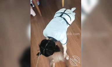 พี่สาวเสี่ยวฟางจากชุมชนไห่เจียวถูกพี่ใหญ่ในรายชื่อกลายเป็นอีเลว และเจี๊ยวใหญ่ก็ถูกบังคับให้เข้าไปในหีของฉัน! -