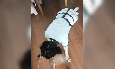海角反差婊-【胡九萬（原小芳姐姐）】小芳姐姐13母狗屬性爆發被榜一大哥虐成狗了大雞巴硬灌我的騷穴