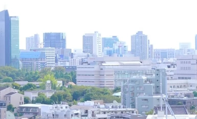 FSDSS-721 我，藤井兰娜，被住在隔壁垃圾房里的性欲旺盛的老怪物软禁，被迫在她体内射精而无法逃脱。