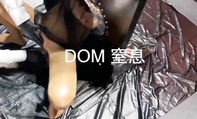 DOMスフォケーション・コレクション (6)