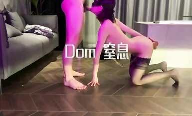 DOM 질식 컬렉션 (10)