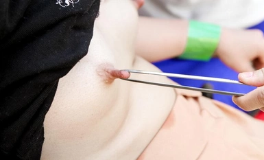 EVIS-528 ビン勃ち長乳首むしゃぶりアクメレズ