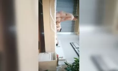 아침의 첫 번째 변태, 고등학교 교장의 아내, 고품격 여성, 혼전 예술가, 걸레, 걸레, 걸레, 걸레.