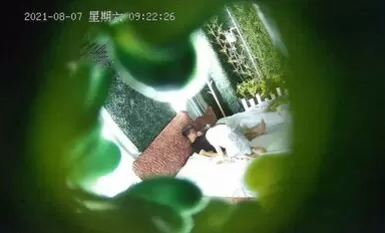 緑葉の部屋盗み食い空腹淫乱女秘書開放部屋セックスラッシュセクシーなライドアップ運び足突きドキドキファック絶叫淫乱すぎる