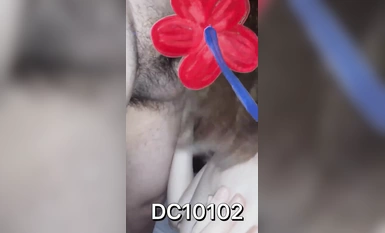 Mag-subscribe sa sobrang slutty hotwife [DC10102] sa Twitter, ang kanyang puki ay pink at malambot sa 3P na may props na nakalabas, at Ziwei climaxes at squirts (2)