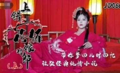 Jingdong Pictures JD066 Cưới đúng người, nhầm ghế sedan