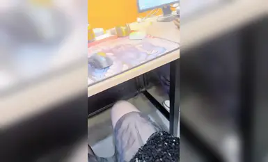 户外日常~【黛西老师】网吧大胆自慰~道具震逼~按摩吃鸡啪啪秀(2)