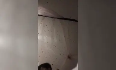 91 唐格 179