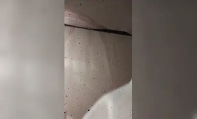 91 唐格 179