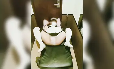 鲁米