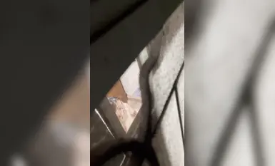 朋友鄰居妹妹洗澡