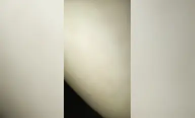 ployzaii_aunya 2