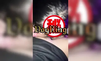 Ang master na dalubhasa sa pakikipagtalik sa pinakamahuhusay na batang babae, "dogking", ay nakikipag-ugnay sa mga babaeng estudyante sa kolehiyo sa campus. Isang mabuting anak sa mata ng mga magulang at isang mabuting mag-aaral sa mata ng mga g