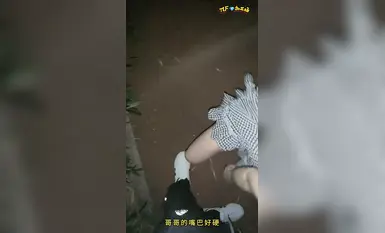 【戶外 真實第一視角】野戰 1.0