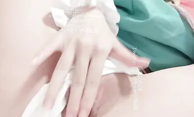 ลูกแมวน้อย